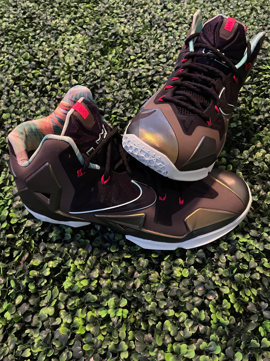 LEBRON 11 KINGS PRIDE PREOWNED NO BOX