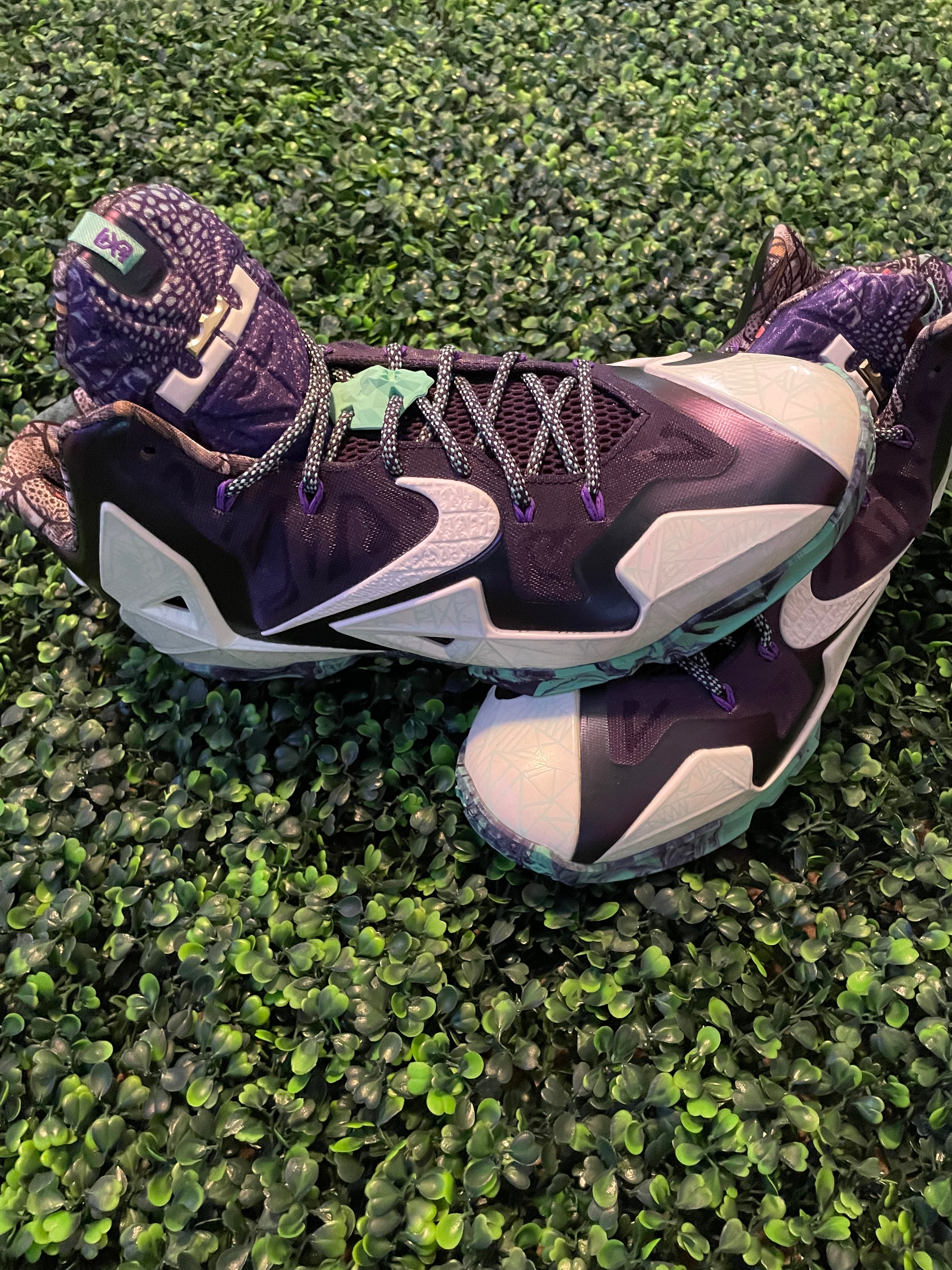 LEBRON 11 ALL STARS PREOWNED NO BOX