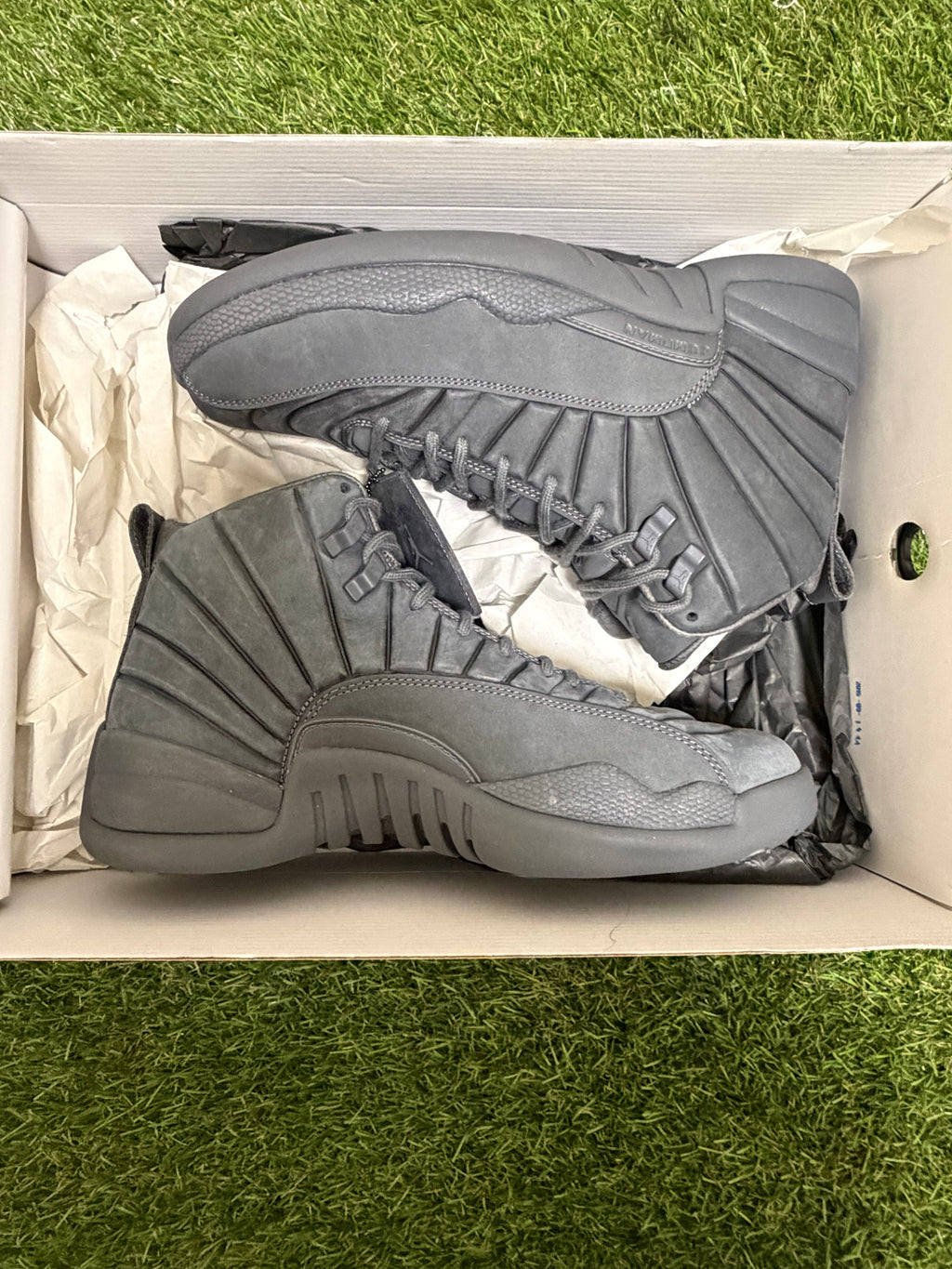 Jordan 12 PNSY