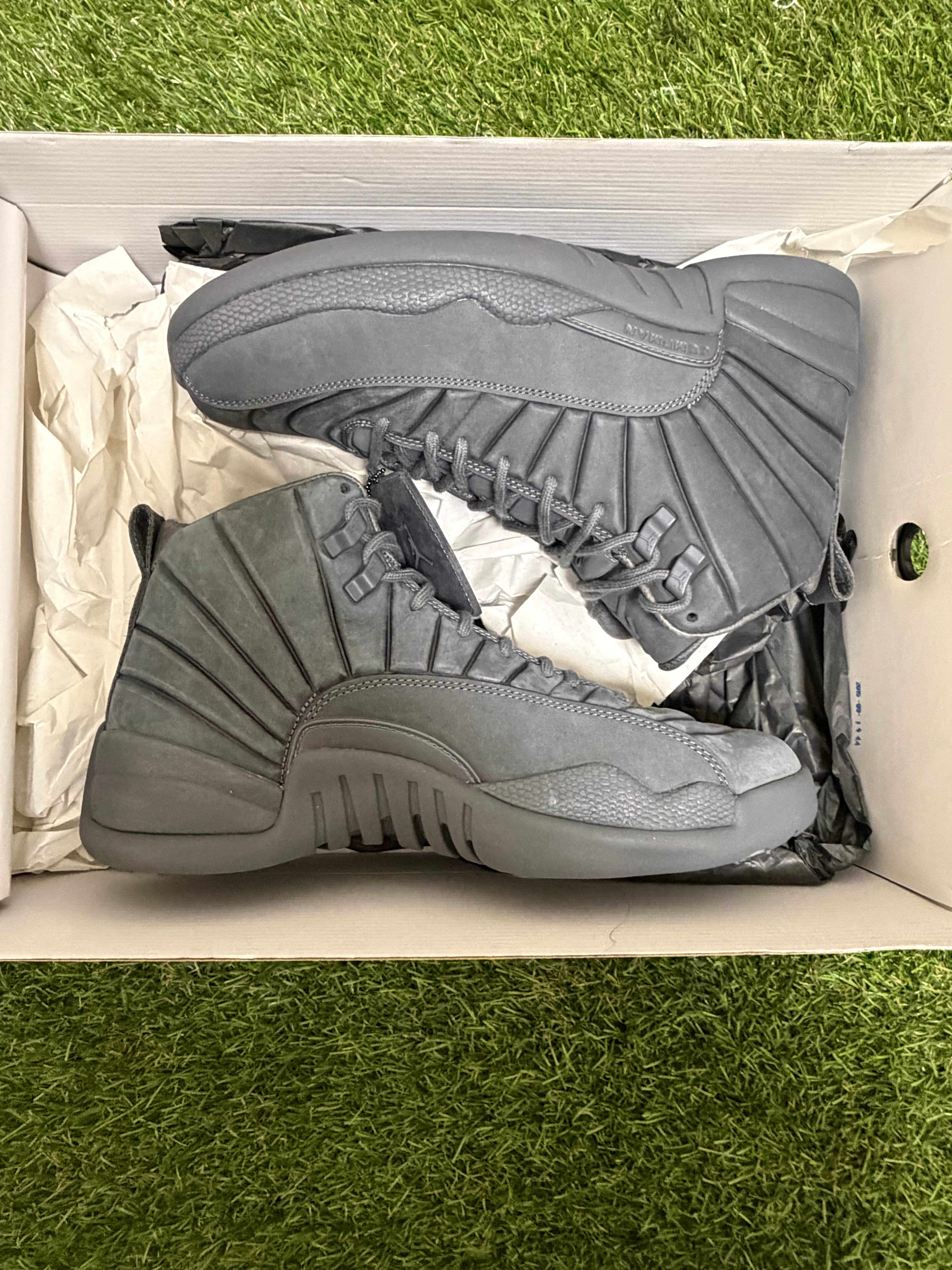 Jordan 12 PNSY