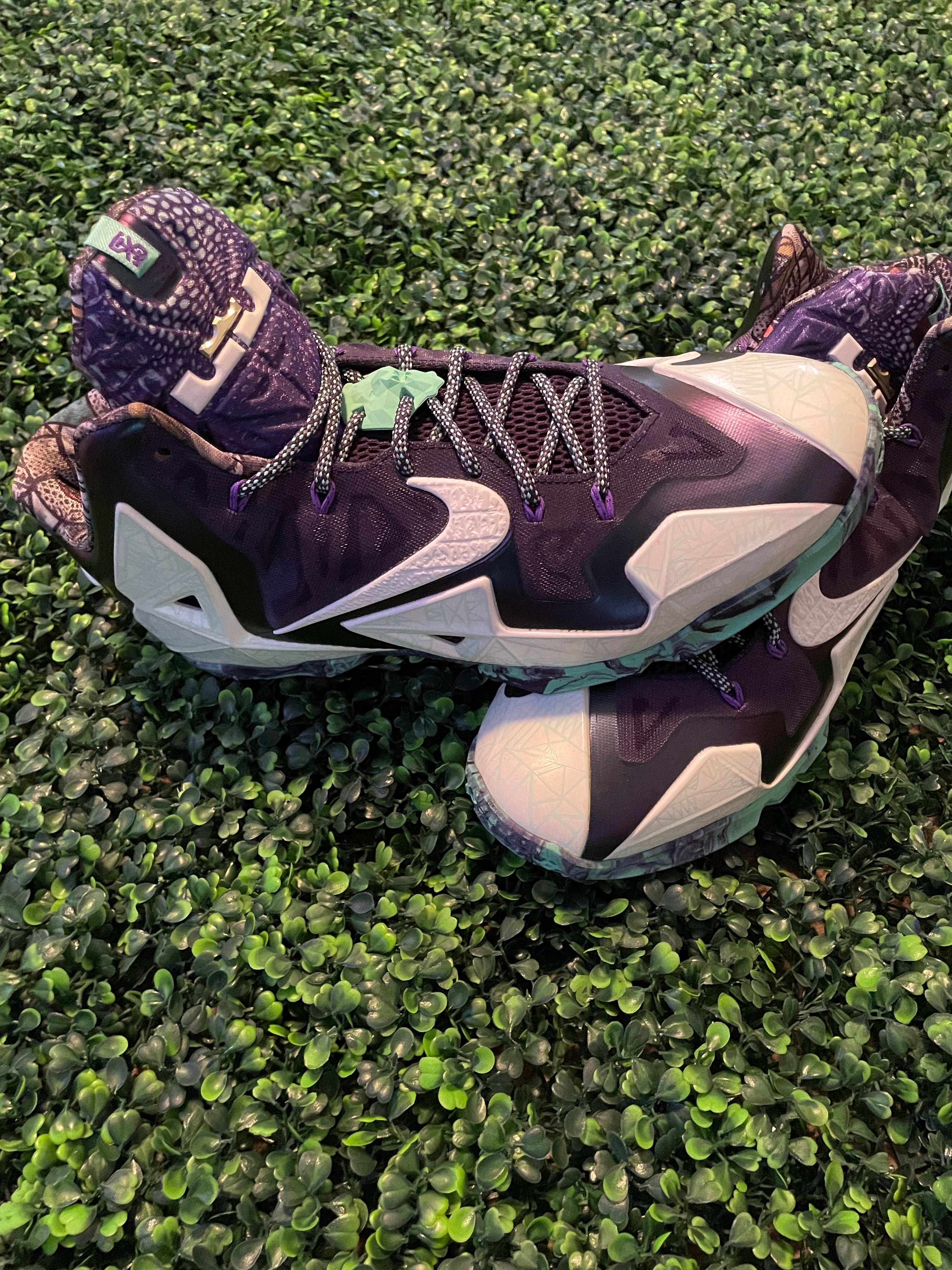 LEBRON 11 ALL STARS PREOWNED NO BOX