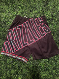 NBA BLOWN OUT FASHION SHORTS GRIZZLIES